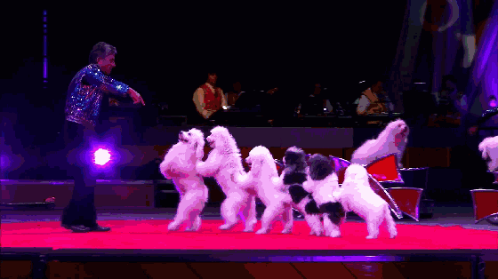 134602gat4lvzl2jbws2zl.gif