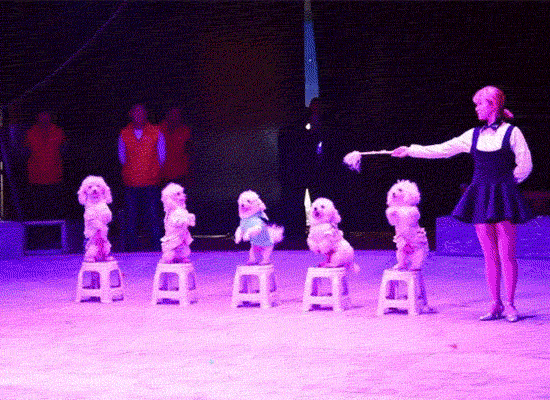 134602ot7i11azykkjatty.gif