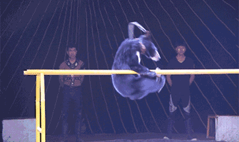 134602px90ukubccehkue2.gif