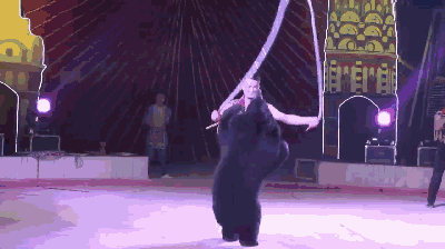 134602xgky056rnkty0gc5.gif