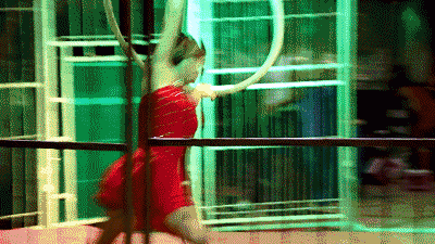 134603pb583yiyup7ifz48.gif