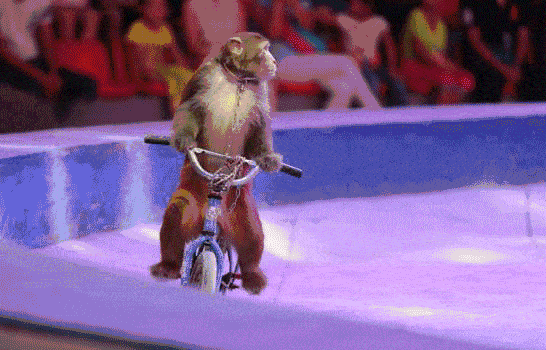 134603xdbf87gscc0wvwrn.gif