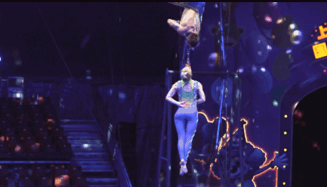 134604drwwz8alohxzwkx3.gif
