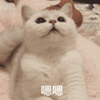 074834qtlk9ot477j4pqq3.gif