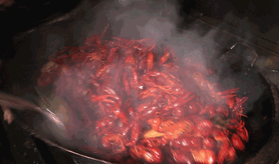 155113mzzzft31xl2q607h.gif