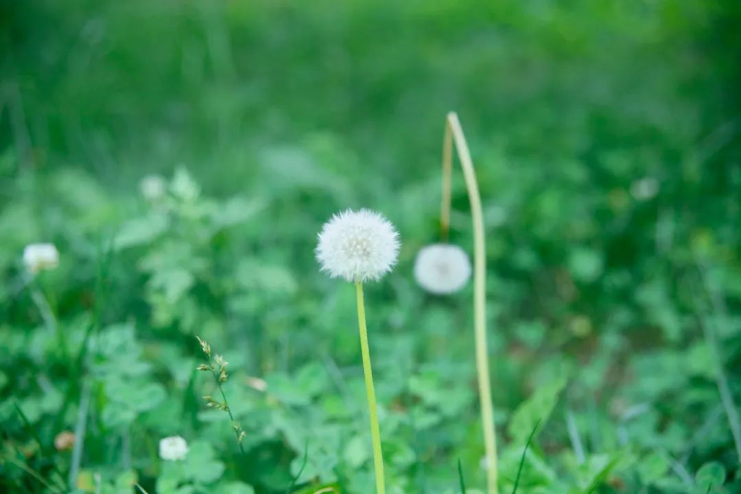 140311iy11nckuqc1mkqm6.jpeg