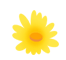 123709niyuhrnh42fd3hyy.gif