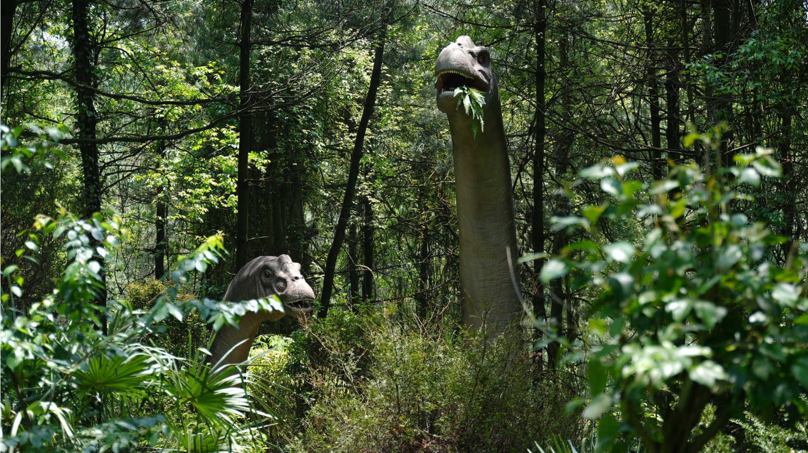 五一好去处！贵州森林野生动物园再度升级，一秒带你穿越侏罗纪